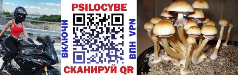 где найти наркотики  hydra как войти  Галлюциногенные грибы мицелий  Камень-на-Оби 